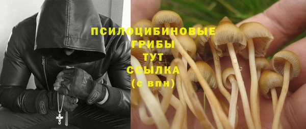 соль курить ск Ленинск