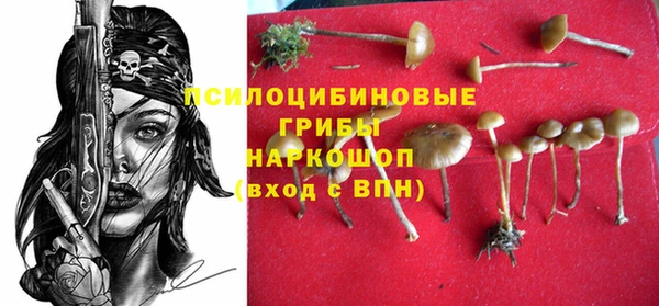 кристаллы Бородино