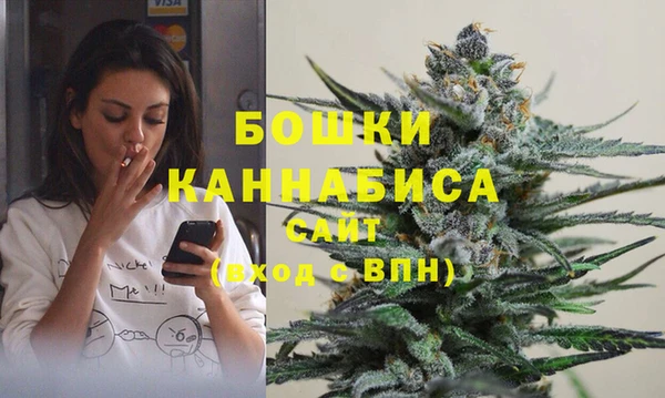 твердый Верхний Тагил