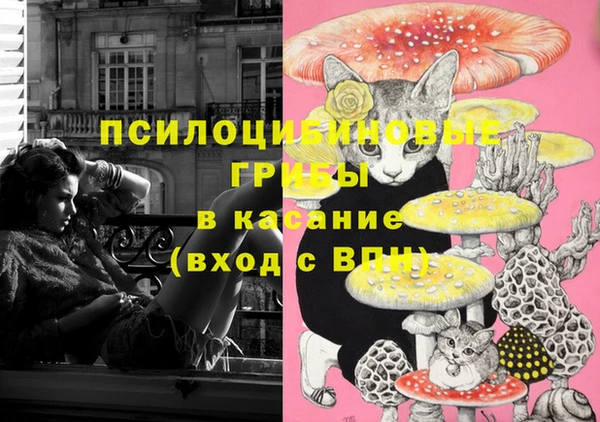 ECSTASY Бронницы