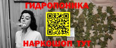 прущие крисы Гусиноозёрск