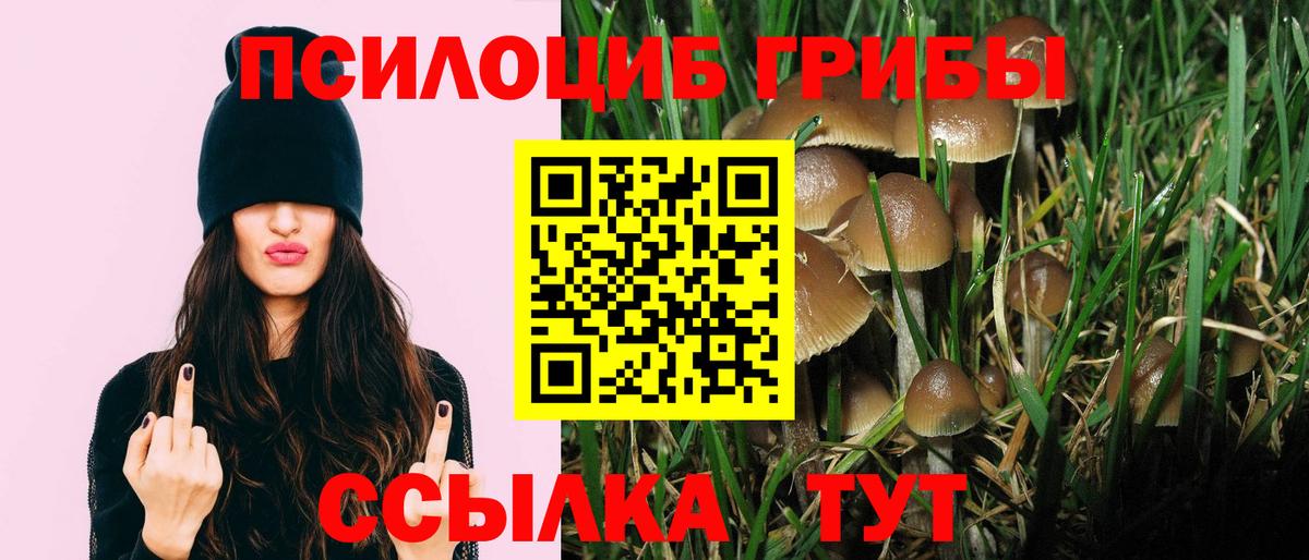 Галлюциногенные грибы мицелий  Вход с VPN  Можайск 